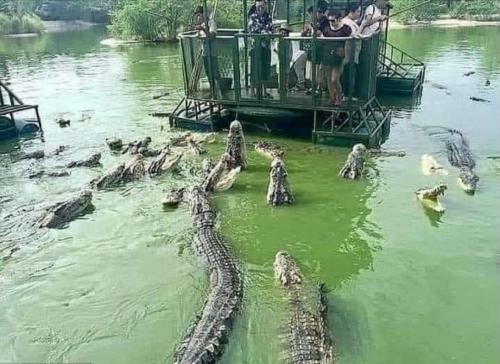 Screenshot_20230730_182125_Facebook