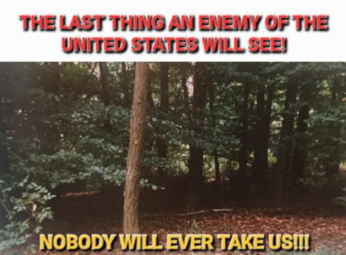 Screenshot_20230717_094308_Gallery