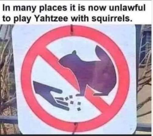 no Yahtzee