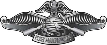 FMF_Enlisted_Warfare_Specialist_Device