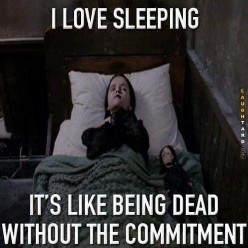 FB_IMG_1687725616845