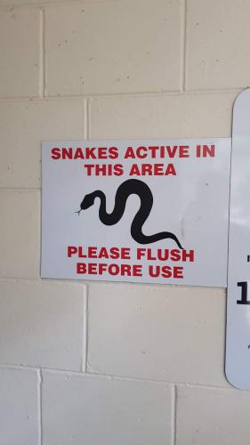 FB_IMG_1688590191854