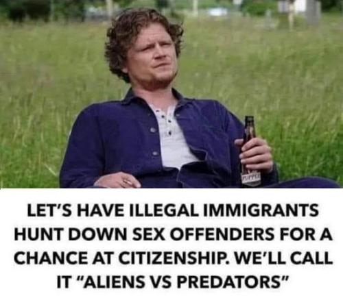 illegal immigration341