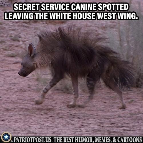 00000000000000000000000000000000000000000000000000000000000000000000000000000000000000000000000000000000000000000000000000000000000000000000000000000000000000000000000000000000000000000000000000000000000tfhjmnbvg