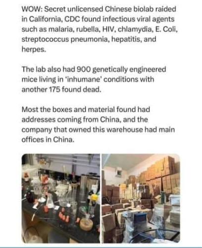 FB_IMG_1690769720155