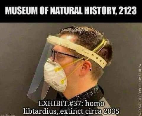 Homo Libtardus