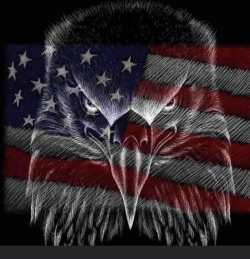 FB_IMG_1690170393841