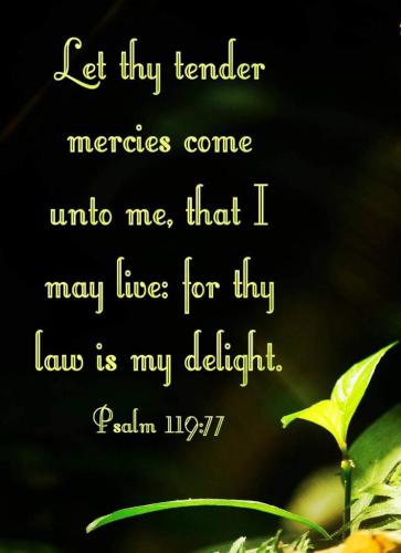 8d483bee-bb4d-4aa8-af4d-e9de054a71cc