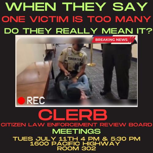 San Diego, California  July 11, 2023 - Meetinf of CLERB - Citizen Law Enforcement Review Board