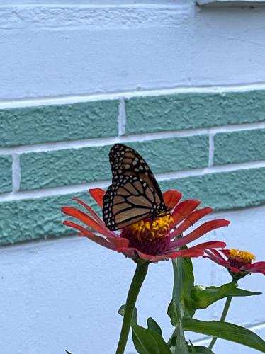 C534F770-C8CD-4349-8AF8-41097A4E4190