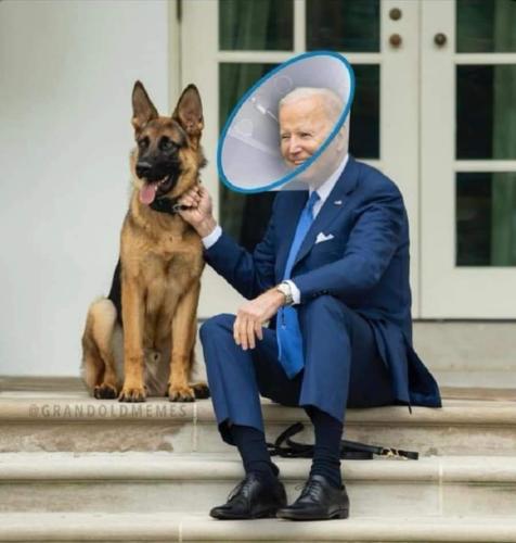 FB_IMG_1690397785868