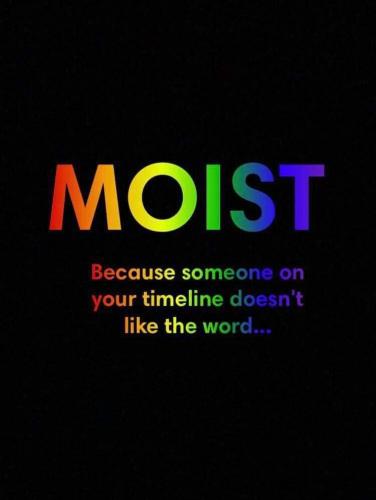 FB_IMG_1689188510601