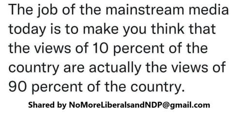 the job of MSM