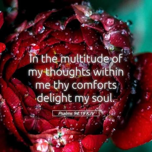 a44d0808-e16f-4940-950a-41144453300d