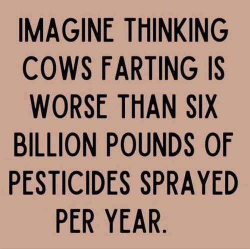 photo_2023-07-19_21-47-59