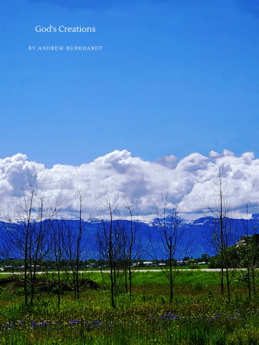 42_20230629_195929_0041