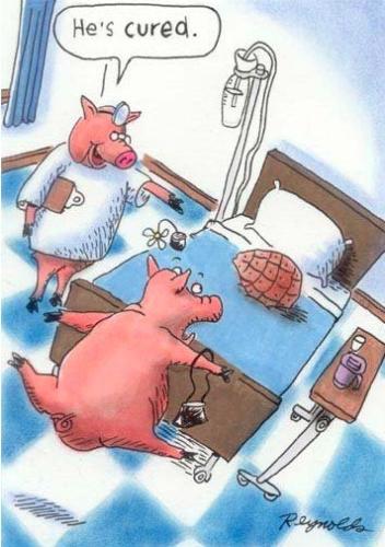 360149305_829198785239965_3259637734401016663_n