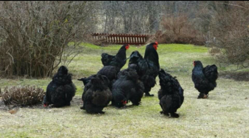 Screenshot_2023-07-06-22-28-31_kindlephoto-362310250