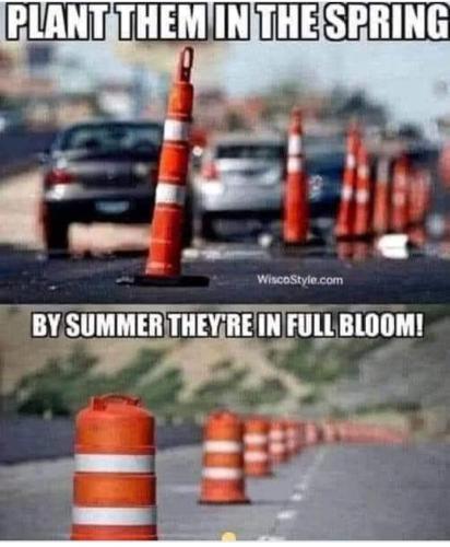 plant them in the spring