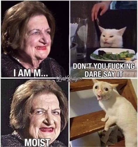 357688654_10160676861468875_6922511848861689648_n