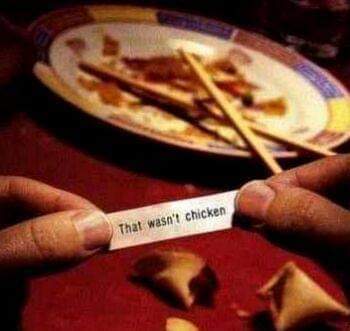 FB_IMG_1690676073912