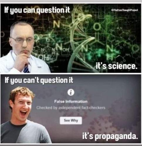 FB_IMG_1688947802898