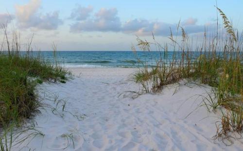 53305fa2-29eb-4850-8327-9754ea798dcc