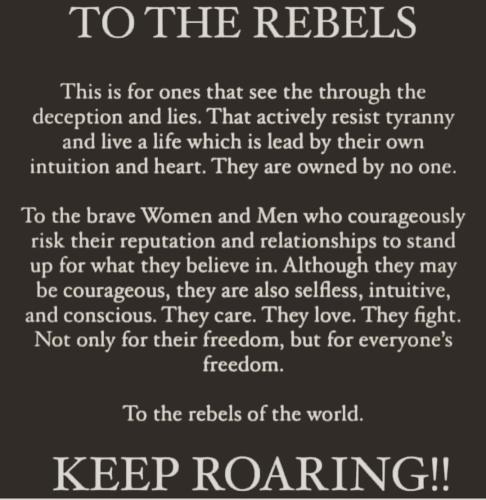 IMG_20230724_050100_893