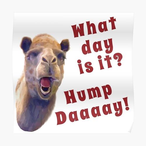 1-Hump Day