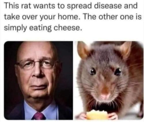 63f5791e-be99-485c-8116-21919a5e15f5