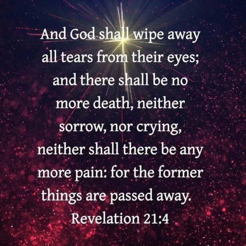 919e2e21-925b-44b0-95e5-3ab466b7bd12