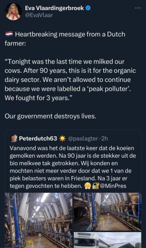 IMG_20230714_233436_097