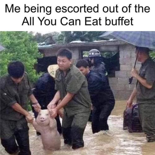All you can eat