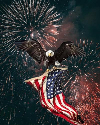 Polish_20230701_090838160~3