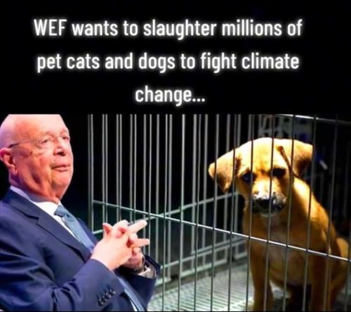 7EBB05D4-351B-47AB-BA36-9C88B25541B5