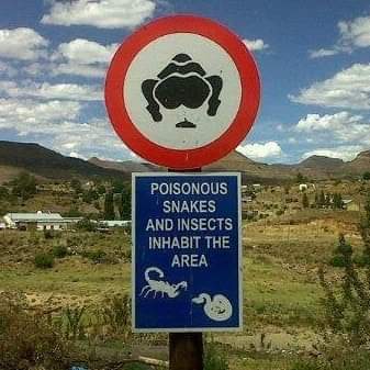 FB_IMG_1688925169759