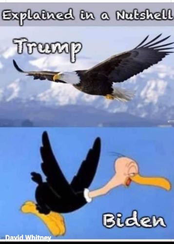 Screenshot_20230709_100605_Facebook