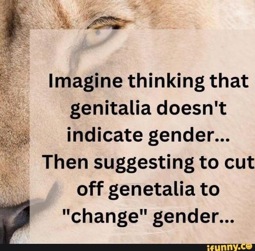 67c8a57e-a7c6-47db-853e-a9bcb508bcad