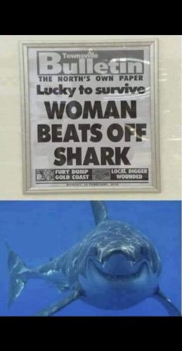 FB_IMG_1690222153960