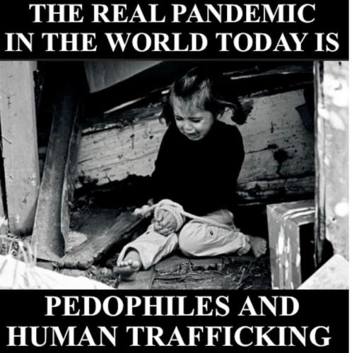 50ec3585-0f72-4441-b709-102c608b6c26