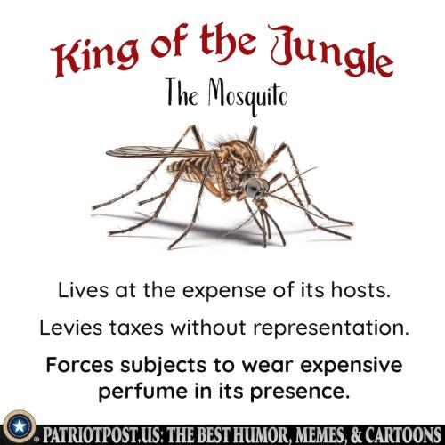 king of the jungle