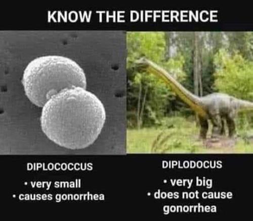 FB_IMG_1689426260853