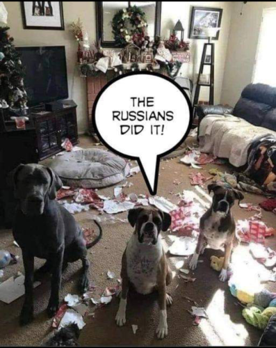 Screenshot_20230703-102232~2