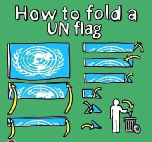 FB_IMG_1690236501051