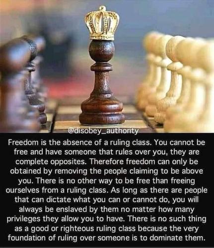 FB_IMG_1690257239018