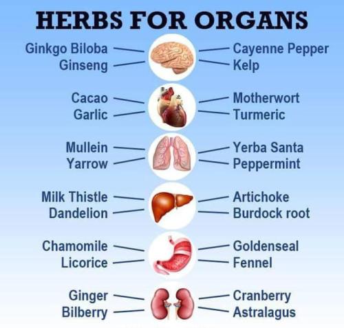 363811808_68420949791