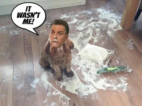 xephula_daf0efb58e4f77ececaecaa85e6ef858