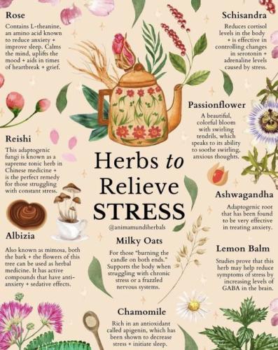 344442197_58197597069