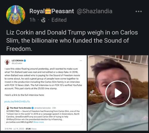 Screenshot_20230711_171836_Chrome