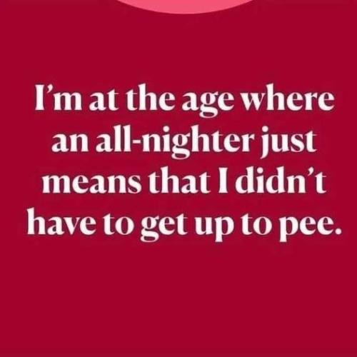 360116862_735767741789418_4711393663082351944_n